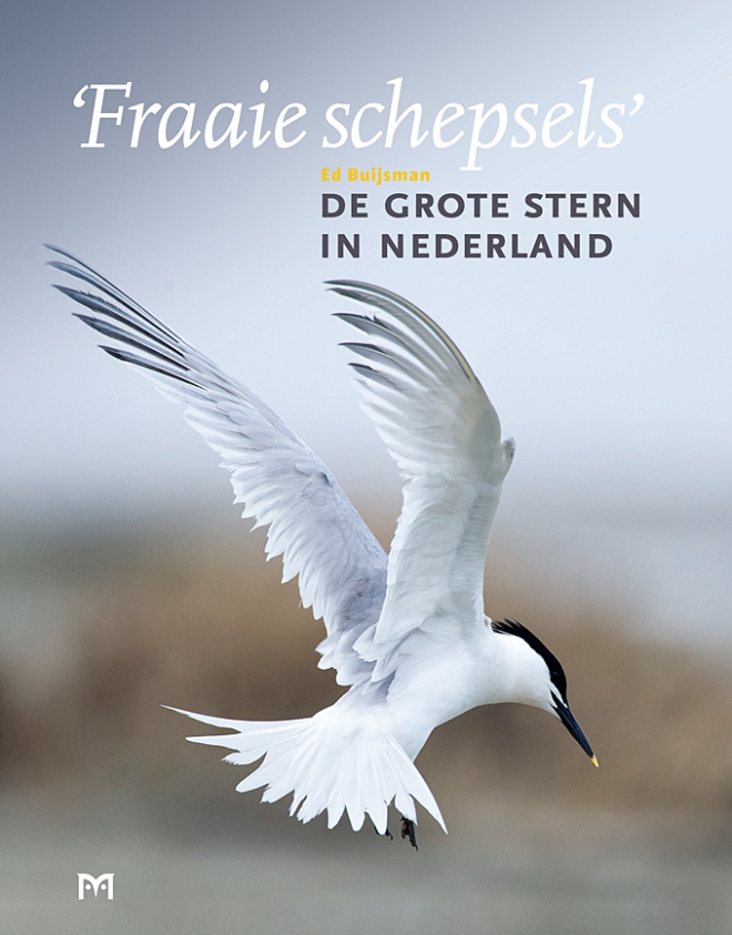 ‘Fraaie Schepsels’. De grote stern in Nederland